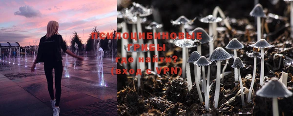 мяу мяу кристалл Корсаков