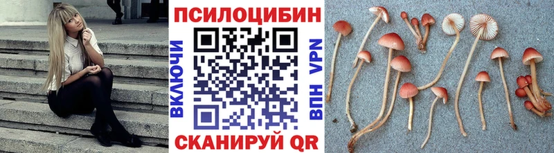 Купить где  Северская  Псилоцибиновые грибы ЛСД 